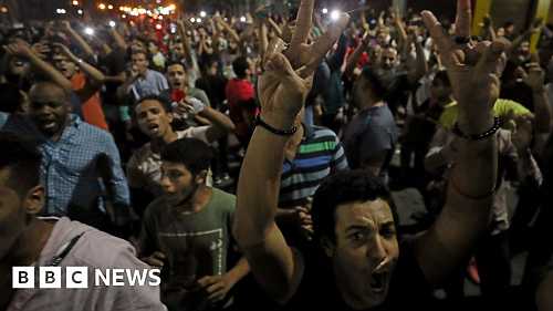 'Hundreds detained' after rare Egypt protests