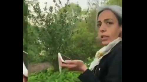 White woman calls 911, falsely accuses Black TikTokers of 'beating' her - TheGrio