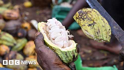 US Supreme Court blocks child slavery lawsuit against chocolate firms