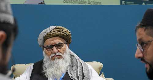 Afghanistan’s delegation attends COP29, seeks international backing for climate action | Africanews