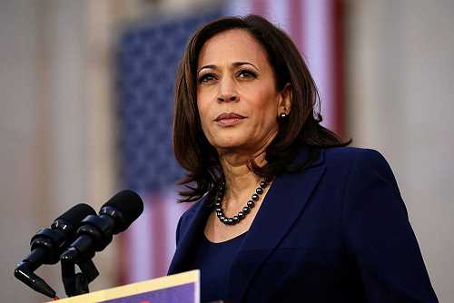 Democratic party analyzes key missteps in Harris presidential defeat