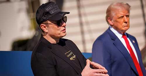 Gov't expert on Musk, DOGE's 