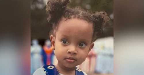 2-Year-Old Black Girl Dies After Being Bitten By Fire Ants, Parents Sue Hospital