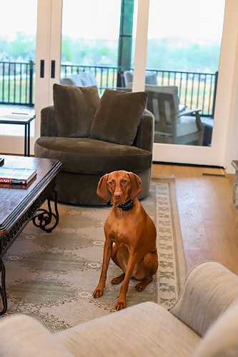 The Season of Overcommitment and How Blogging Works