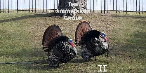 The Jimmy Dixon Group Redefines Authenticity with The Rough Demos II - CelebMix