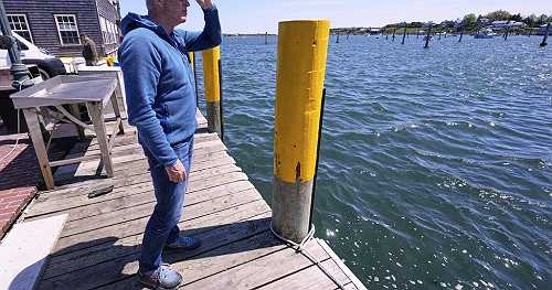 Endurance athlete marks 'Jaws' anniversary with swim to change shark narrative | Africanews