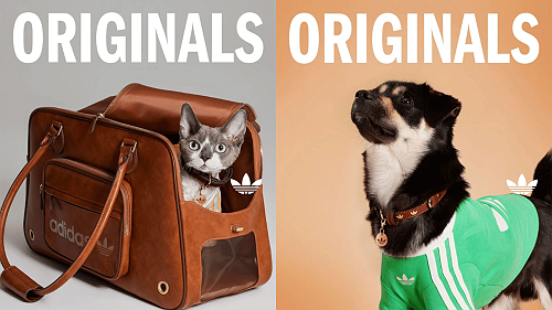Adidas Drops Exclusive Pet Capsule with Leather Collars and Travel Bags