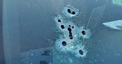 Man shot and killed by Florida sheriff's deputies in confrontation after apparent alligator attack