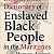 Book Suggestion: Biographical Dictionary of Enslaved Black People in the Maritimes