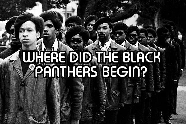 How Well Do You Know The Black Panther Party