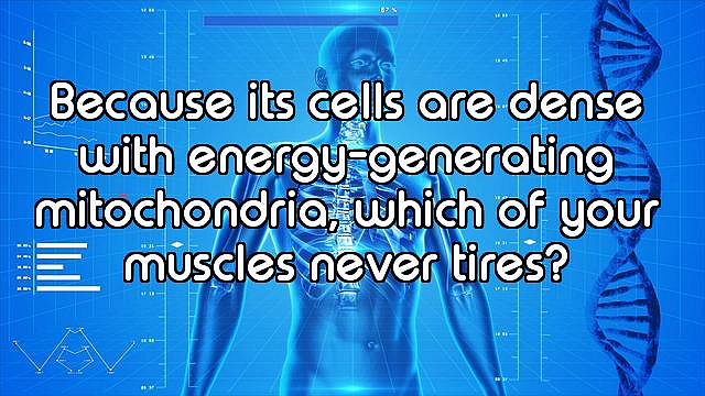 How Well Do You Know the Human Body?