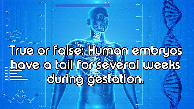 How Well Do You Know the Human Body?