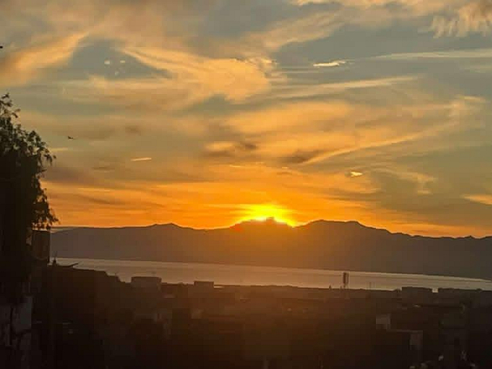 Its a beautiful carob tree; you often witness such magic. Youre lucky to be seeing it! 😍