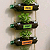 Post: Grow Your Own Mini Herb Wall – No Backyard Needed!”🪴 The Concept:A DIY Vertical Herb...