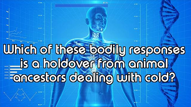 How Well Do You Know the Human Body?