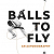 Book Suggestion: Balls to Fly: Ricky Ellcock - an Autobiography