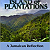 Book Suggestion: ISLAND OF PLANTATIONS: A JAMAICAN REFLECTION