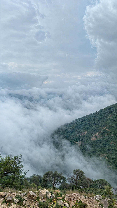 رسالة لقلبك الزوج